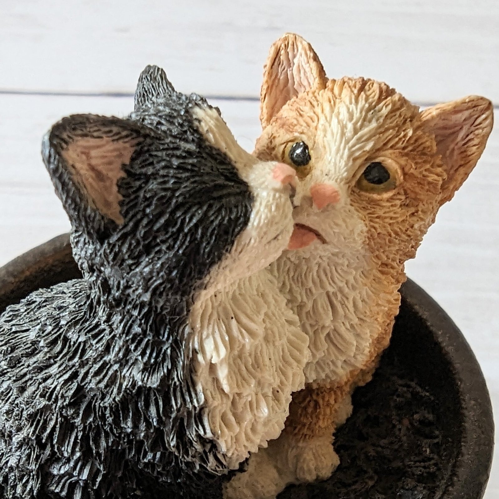 仲良しな2匹の猫【Two Kittens Linking】Bowbrook Studios 41299