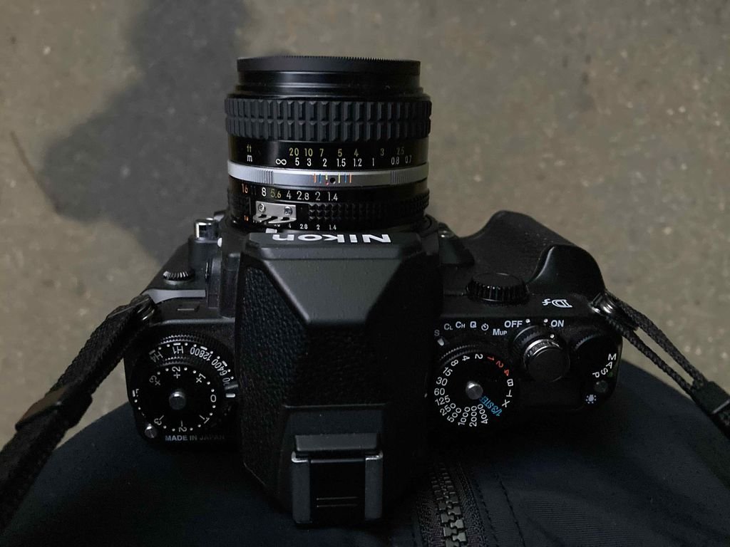 NIKON DfとAI Nikkor 50mm f/1.4Sで撮ってきた - カメラが欲しい